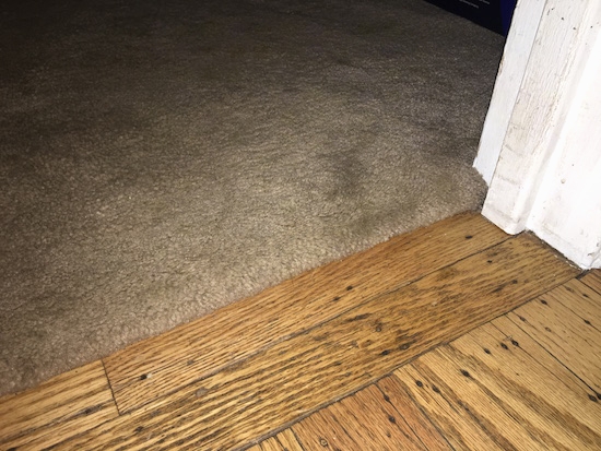 A tan carpet in a room next to a hardwood floor with the door frame on the right