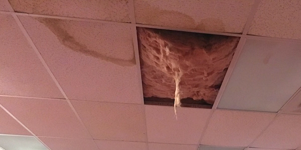 the ceiling with one panel removed and pink fiberglass hanging down in a string-like way with water damage around the panel