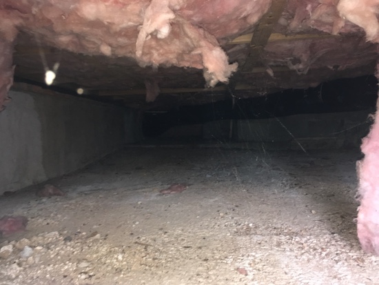 A view under a house with a cement floor and a fiberglass ceiling with pink fibers hanging down.