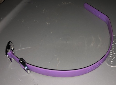 A purple synthetic collar sitting on top of a gray plastic bin