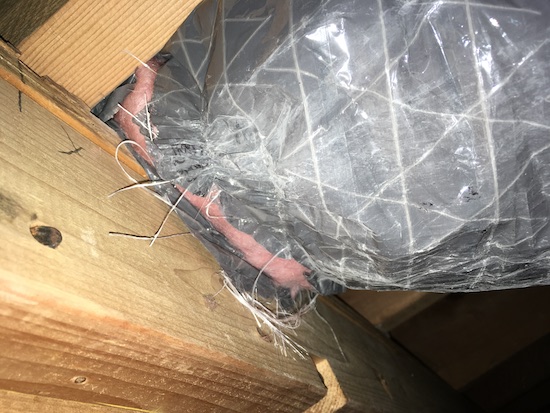 A gray flex duct where it connects at a wooden wall with pink fiberglass showing in the rip and white fiberglass strings hanging out of the end.
