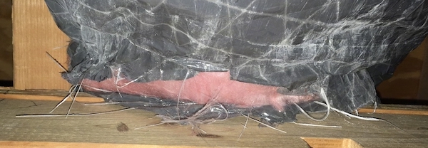 Close up - A gray flex duct with pink fiberglass insulation showing at the end where the duct meets the wood. There are white fiberlgass strings hanging out of the end.