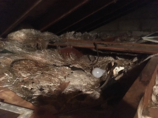 Thin white glass fibers and blown in fiberglass in the floor of an attic with a 100 watt light bulb on top of it