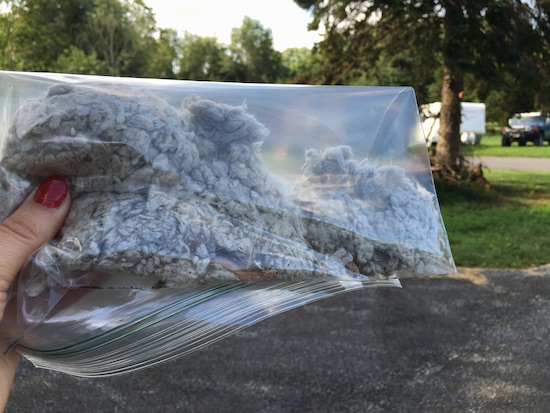 A Ziploc bag of gray cotton looking material being held in the air outside in a driveway with a hand that has red painted fingernails. There is a blue Toyota FJ cruiser sitting next to a white cargo trailer in the background.