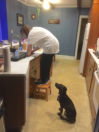 A girl standing on a wooden stool doing dishes in a kitchen with a puppy sitting down watching