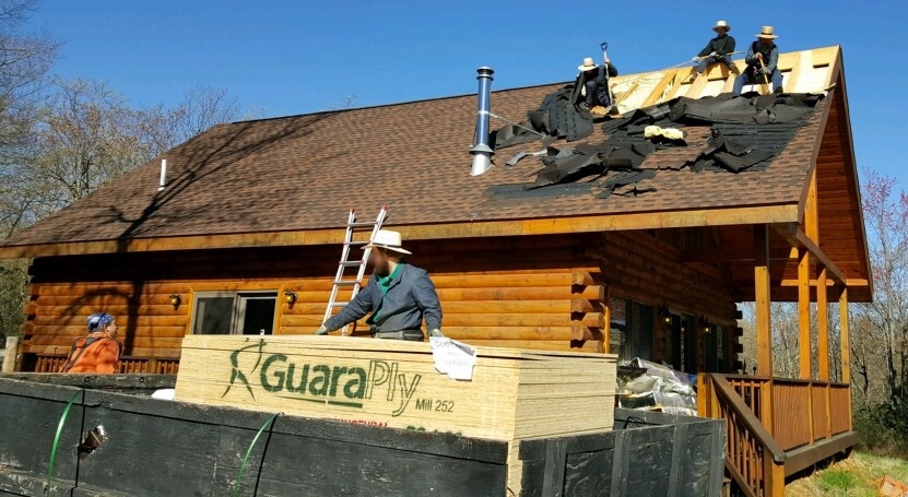 A wooden log cabin with three men on the roof ripping off shingles and a man on the ground in front of a dumpster picking up plywood from a pile and a 5th man in an orange sweat shirt standing on the ground walking towards the cabin.