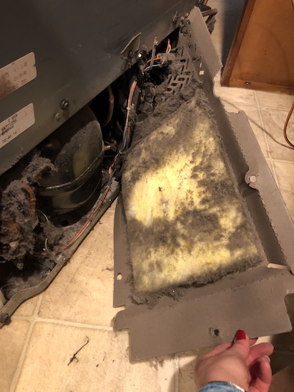 The back lower bottom of a household refrigerator with the panel pulled off showing dirty yellow fiberglass and a lot of dirt caught around it with the compresser and a cooling fan.