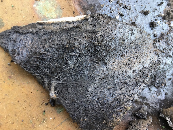 A piece of burnt roof shingle with the glass fibers showing.