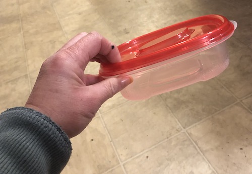 A hand holding a clear plastic container with a red lid